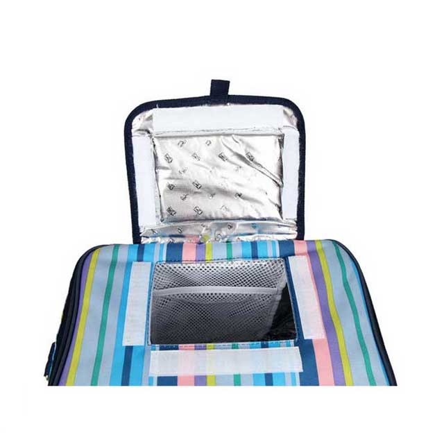 Stylish Lunch & Wine Cooler Bags And Box For 6 Cans With Insulated Material And Handles